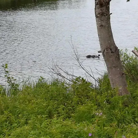 Saunamoekki Jaerven Rannalla - 5-tien Varrella Hyrynsalmi